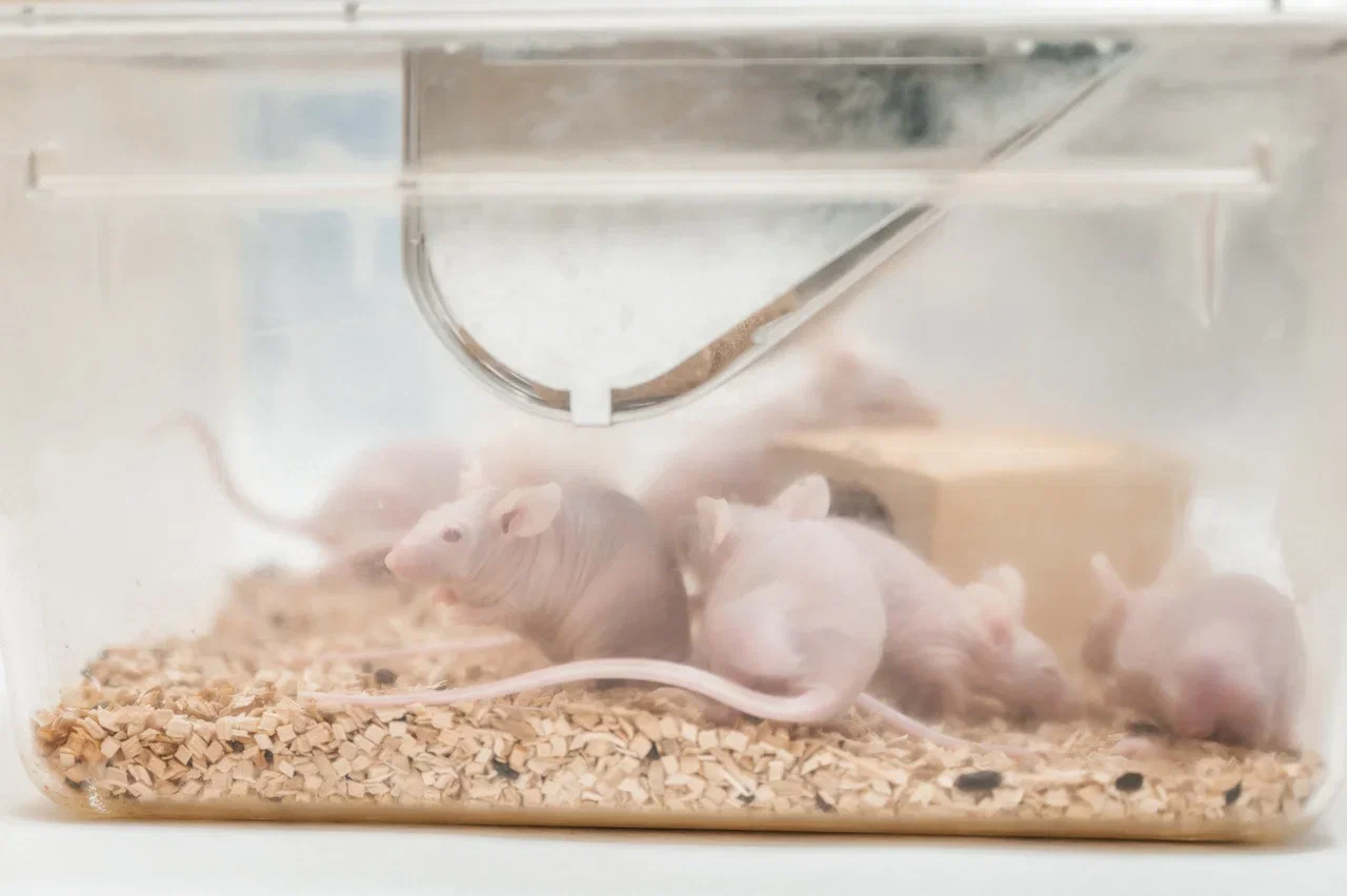 Главная страница